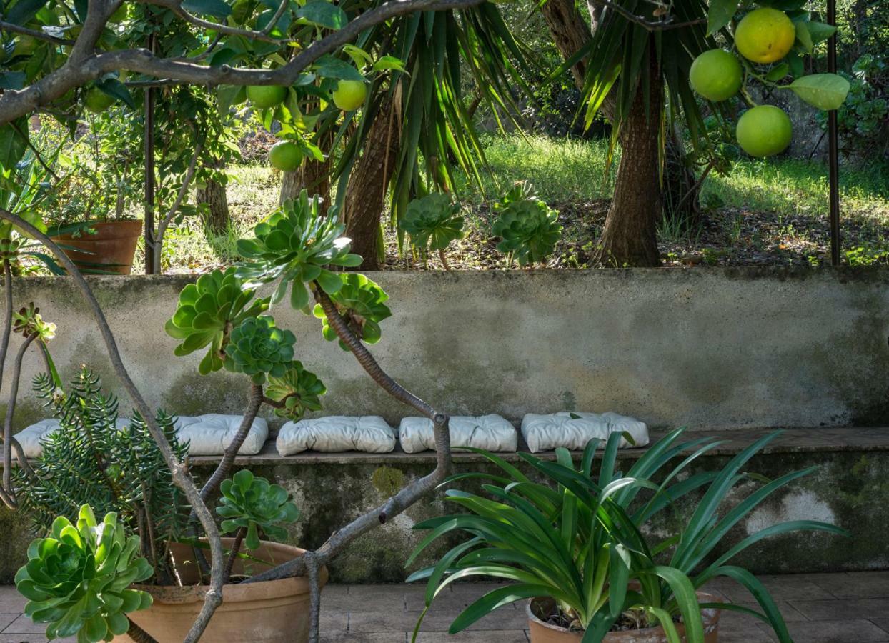 Villa Santa Lucia Cefalu Luaran gambar